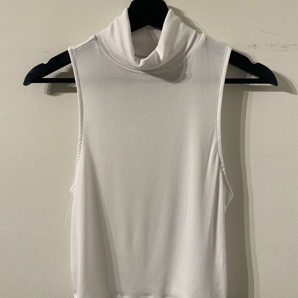 Aritzia Turtle Neck Top